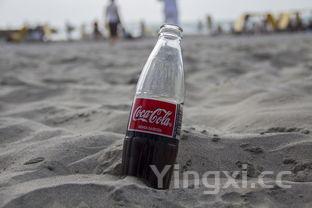 42度扳倒井多少一瓶，42度扳倒井价格