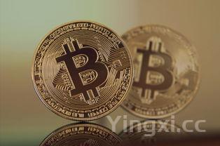 成吉思汗钱币值多少钱，成吉思汗价格