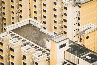 广东苏马科技有限公司，苏马怎么样