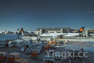 国内航班酒水如何托运,航空公司酒水托运