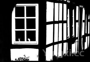 中国有哪些酒类博物馆，酒业博物馆