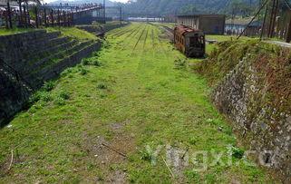哪里有酿酒高粱的地方,哪里有酿酒高粱