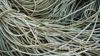 哪里有酿酒高粱的地方,哪里有酿酒高粱