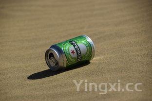 蓝奥超纯啤酒怎么样，蓝奥啤酒是中国的吗