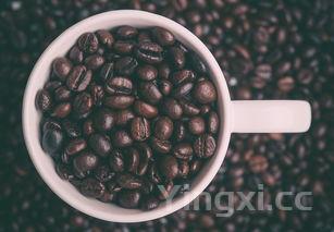 种子酒和宣酒哪个好喝,种子酒和宣酒哪个好