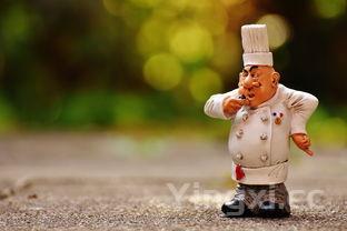 棉花糖小说网,棉花糖小说网新版本