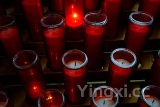 华凤酒50度多少钱一瓶,华凤酒价格