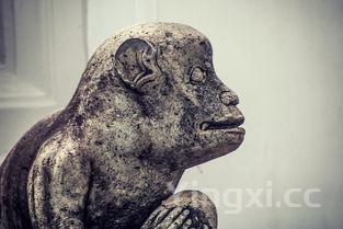 为什么绍兴人只说说绍兴话，为什么绍兴人不喝太雕