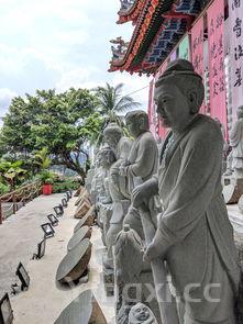 为什么绍兴人只说说绍兴话,为什么绍兴人不喝太雕