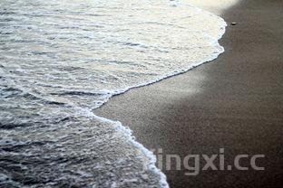 回沙鱼怎么洗，回沙鱼怎么洗才干净