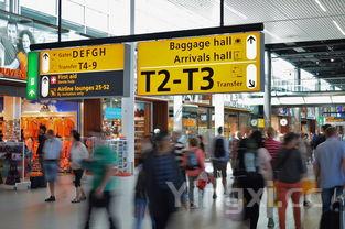 伊新是什么意思，伊D新价格