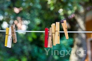 长相思是哪里的,长相思哪里好