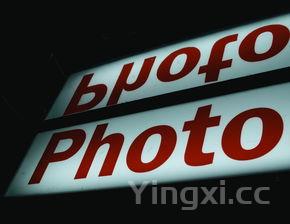 纯粮洒有哪些标志图片,纯粮洒有哪些标志