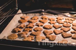 包子图片大全，地软包子图片大全