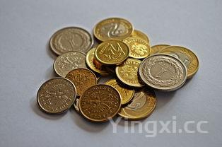 古坛老酒多少钱，古坛价格