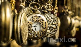 古酿坊是哪个，古酿坊酒业排名第几位