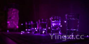 酒博会2021时间及地点,9月19酒博会在哪里