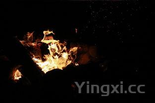野格为什么火了,野格为什么今年突然火