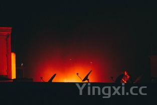野格为什么火了，野格为什么今年突然火