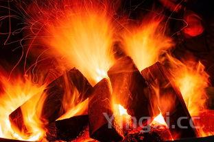 野格为什么火了,野格为什么今年突然火