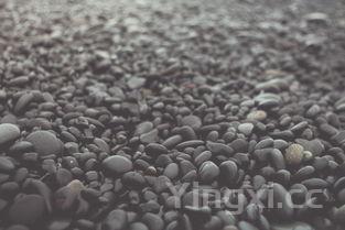 蜂泡酒泡多长时间最好，蜂泡酒怎么泡