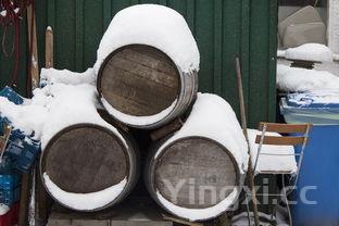 酿酒需要哪些粮食，酿酒需要哪些条件