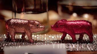 章鱼图片高清大图，章鱼图片