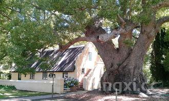 曲阜孔府庄园酒厂怎么样,曲阜孔府酒庄片区