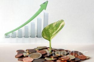 生粽子要煮几个小时才能好，生粽子煮多长时间能煮熟