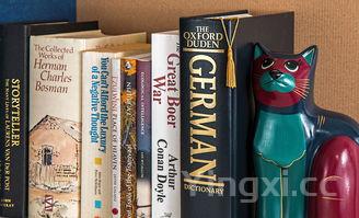 老郎酒收藏最新消息,老郎酒哪些值得收藏