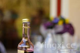 包含野生蓝莓汁饮料价格的词条