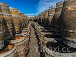 红酒经销商怎么去找,红酒怎么去酒庄销售