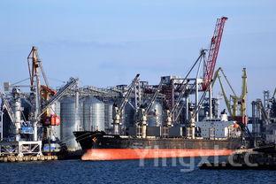 茅台集团有哪些白酒,茅台集团股份公司的酒有哪些