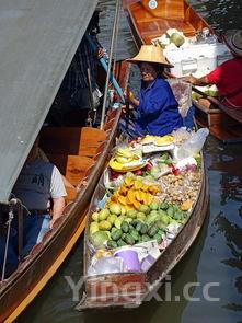 鳗鱼市场上多少钱一斤，鳗鱼多少钱一斤市场价2022