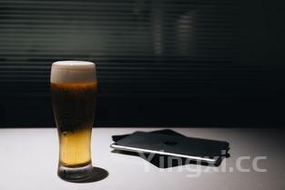 费尔德堡黑啤酒质量如何，费尔德堡黑啤酒多少钱一罐