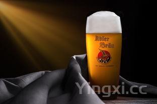 酒精酵母哪里买，酒精酵母粉