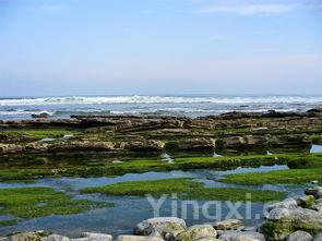 巴斯克地区位于哪里的国家，巴斯克地区位于哪里