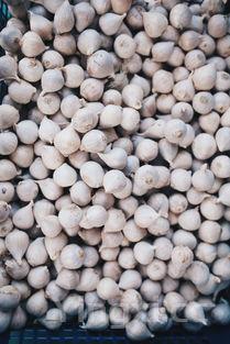 泡糖醋蒜有什么功效,泡糖醋大蒜的制作方法