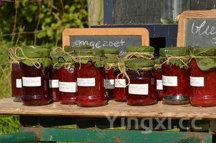 水果酿酒一般多久好，水果酿酒工艺流程