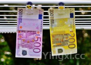 小珍品一号奖在哪里，小珍品一号多少钱