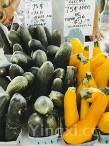 小学生水果拼盘图画，小学生水果拼盘图片