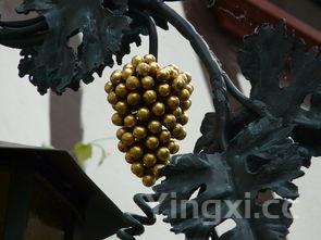 自己酿的葡萄汁可以常喝吗，自酿葡萄汁的危害有哪些