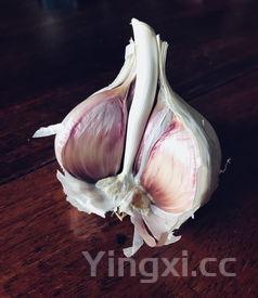 腌制糖醋大蒜，糖腊大蒜怎么腌制