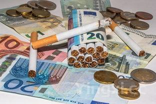 摆摊卖冰粉需要准备什么东西，摆摊冰粉赚钱吗