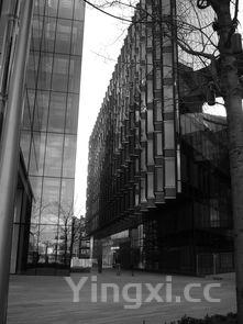 广东疫情最新情况在哪个城市，广东疫情最新情况