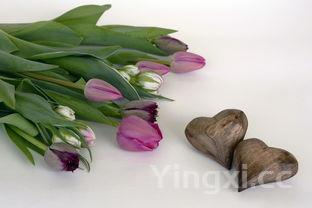 详细阅读:荠菜有什么功效和禁忌,荠菜有什么功效 荠菜有什么功效和禁忌,荠菜有什么功效