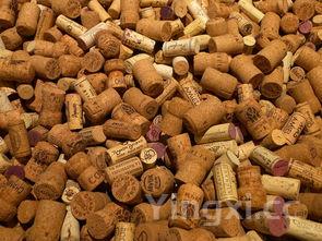 自制桑葚酒不放酒的做法大全，自制桑葚酒不放酒的做法