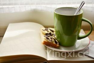 苏泊尔面包机做面包的方法，苏泊尔面包机面包巧手速成书