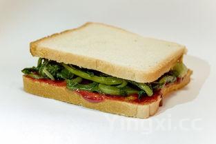 意大利面做法步骤，意大利面的快速做法