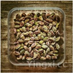 鲜鲍鱼怎么做好吃又简单，海参如何烹饪好吃又简单